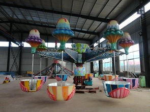 河北保定 四海游艺打造逍遥水母，引领游乐设备新风尚