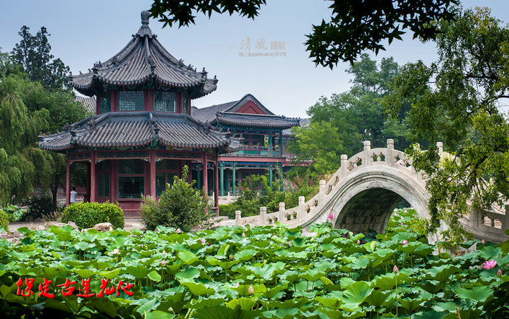 保定古莲花池风光摄影记